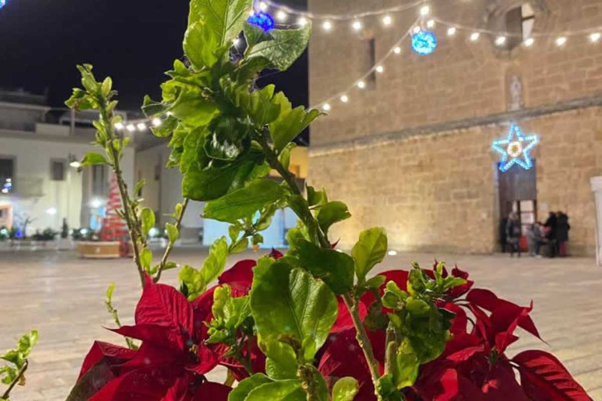 Perché la tecnologia LED rende l'albero decorativo la scelta più sicura per il tuo Natale?